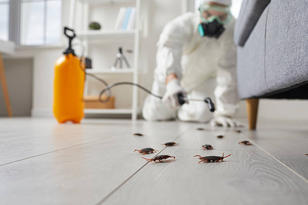 Commercial Kitchen Cockroach Control in Twinsburg